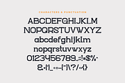 Emano Slab Serif Font, a Slab Serif Font by Artiveko (Thumbnail 2 of 7)