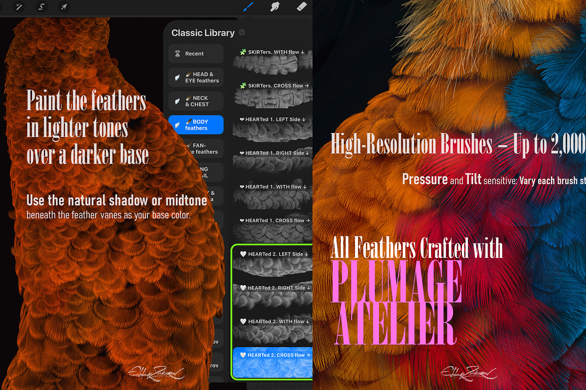 Plumage Atelier. Procreate Brushes, a Brush Add-On by Eldar Zakirov's (Photo 14 of 25)