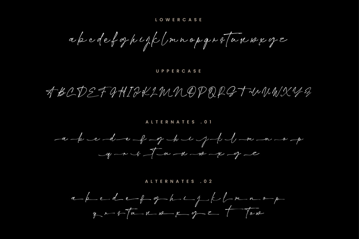 Margheritte Modern Script, a Script Font by Creatype Studio (Photo 8 of 9)