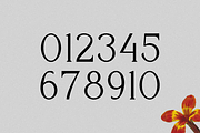 Vormation - Display Serif Font, a Serif Font by RockboyStd (Thumbnail 10 of 12)