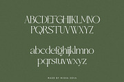 Sight - Elegant & Chic Serif, a Serif Font by Misha Sova (Thumbnail 10 of 11)