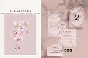 Pink Orchid Phalaenopsis Art, an Illustration by slowlivecreate (Thumbnail 4 of 7)