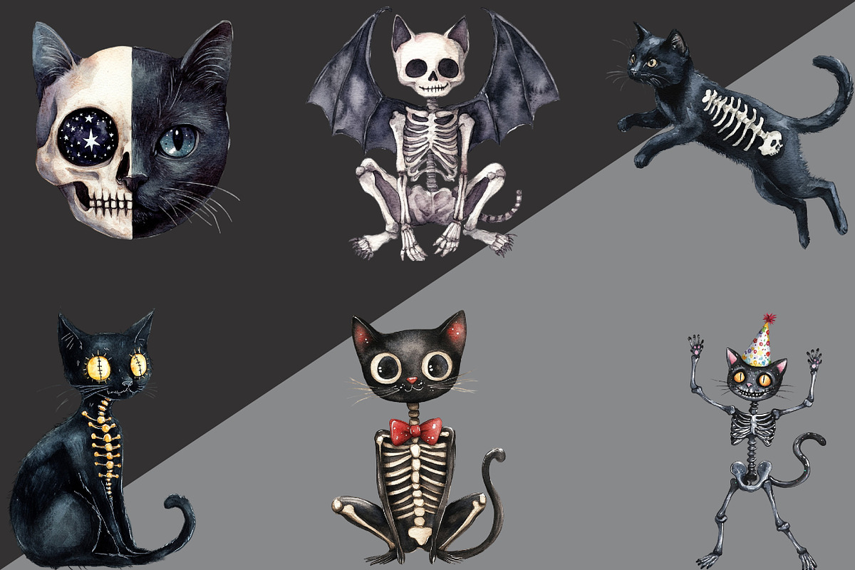 Skeleton Black Cat Clipart, an Illustration by Black Bird Studio (Photo 2 of 6)