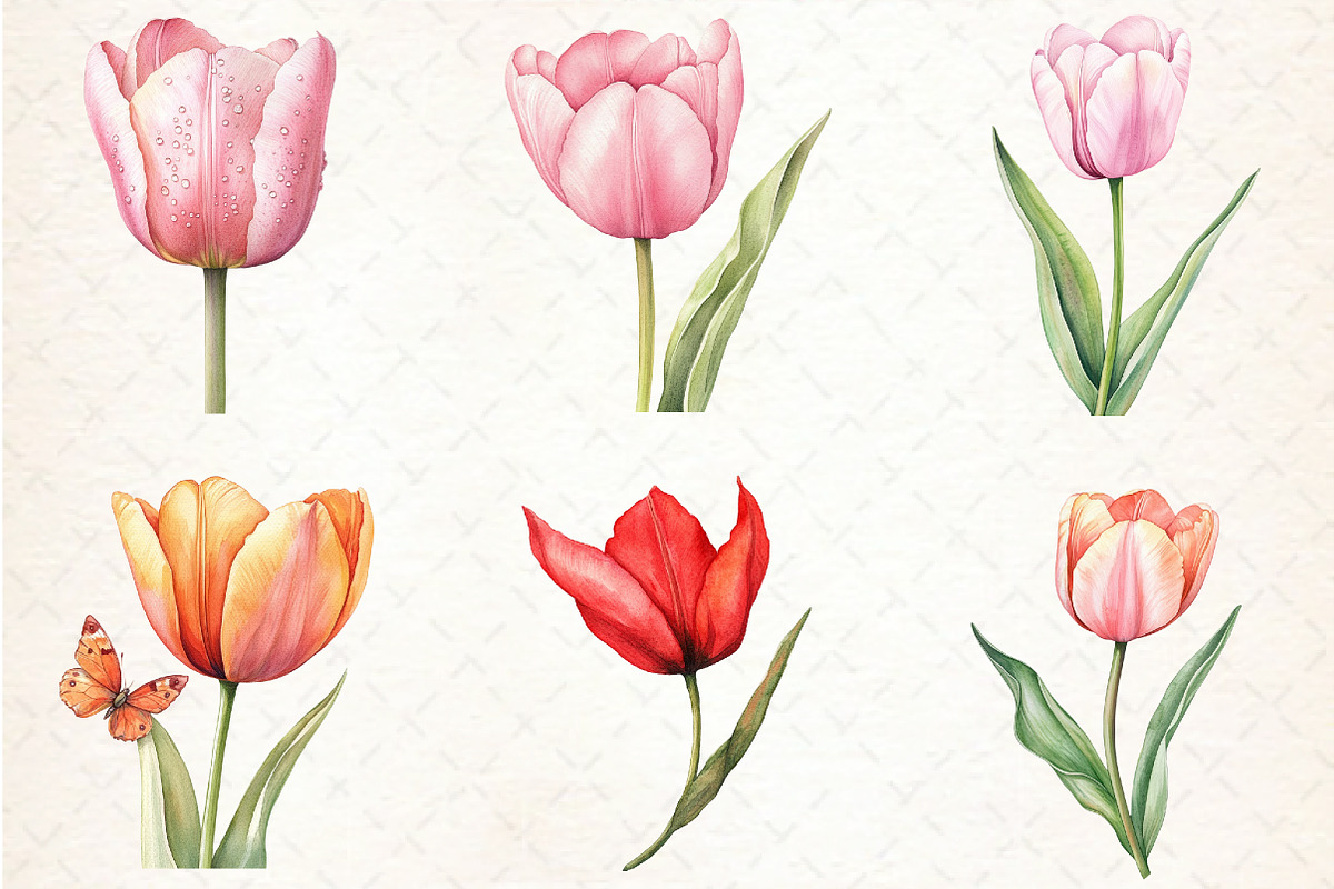 Watercolor Tulip Clipart, an Illustration by Libby Wishes (Photo 2 of 5)