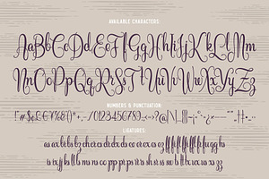 Cidrella Script & Graphics