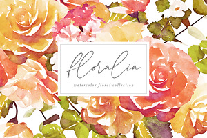 Floralia Watercolor Florals