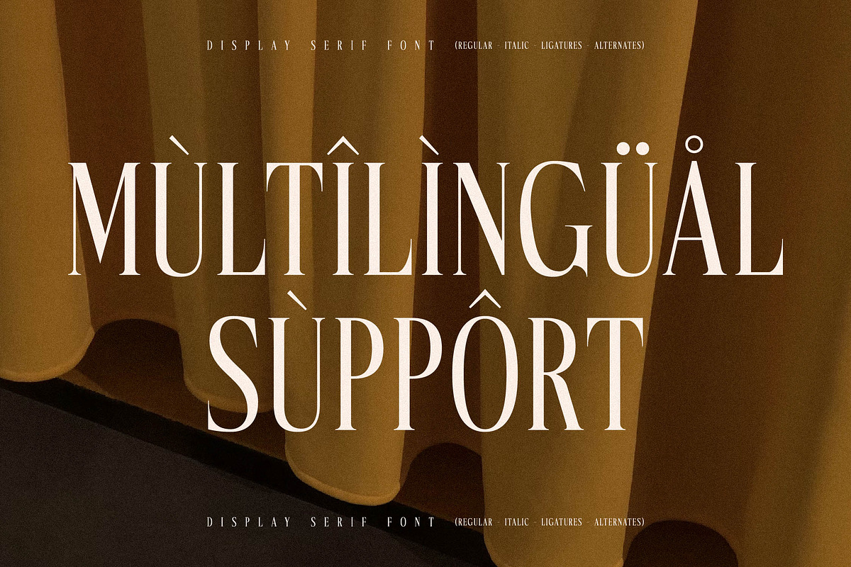 Mocnetla Display Serif Font, a Serif Font by Storytype Studio (Photo 12 of 15)