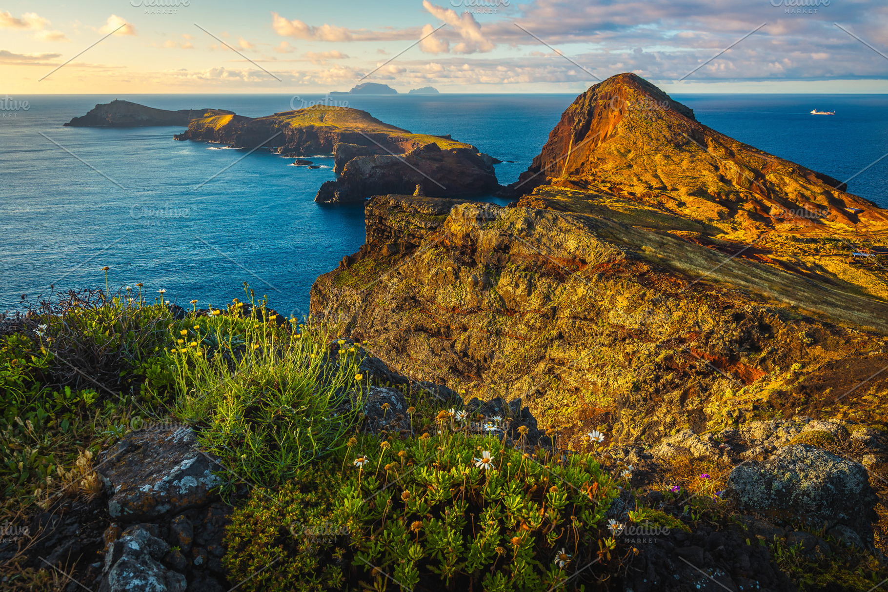 Beautiful nature place in Madeira, a Nature Photo by Alpine Dreams