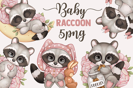 Baby raccoon , baby animals