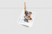 Instant Photo Mockup, a Product Mockup by zpackcreative (Thumbnail 2 of 4)