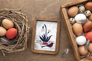 Floral & Easter collection, a Decorative Illustration by ApetekMarket (Thumbnail 11 of 11)