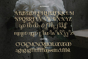Royal Fleur - Elegant Luxury Serif, a Serif Font by Qweera Studio (Thumbnail 11 of 12)