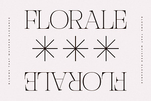 Nocashe New Display Serif Font