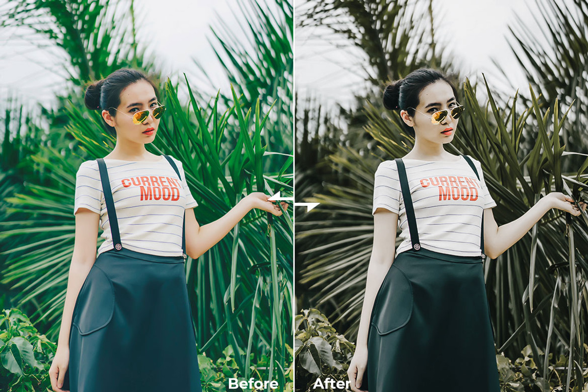 Classic Green Lr Presets & Ps Action, an Action Add-On by Modaldesain (Photo 3 of 3)
