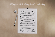 Blackbird crayon script SVG font, a Script Font by Ana's Fonts (Thumbnail 9 of 9)