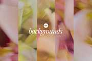 Blur Flower Abstract Backgrounds, a Background Graphic by eclosque (Thumbnail 4 of 27)