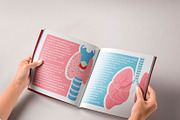 Human internal organs illustration, a Healthcare Illustration by Neliakott ♥ (Thumbnail 5 of 7)