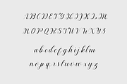 Nantiya, a Script Font by Deniz86 (Thumbnail 10 of 11)