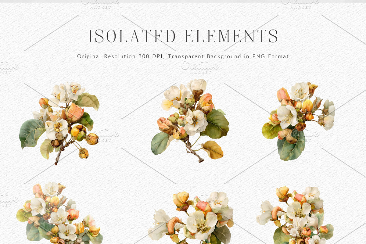 Watercolor Botanical Clipart, a Decorative Illustration by ThaismotaCreativeCo (Photo 9 of 11)