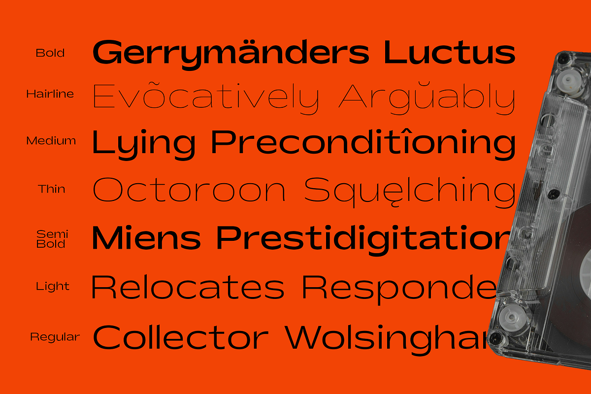 Shinko Sans | Humanist Wide Font, a Sans Serif Font by Jolicia Type (Photo 11 of 17)