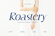 CS Roastery Pixel, a Serif Font by Craft Supply Co. (Thumbnail 1 of 8)
