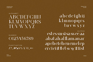 Qelian Modern Ligature Serif Font