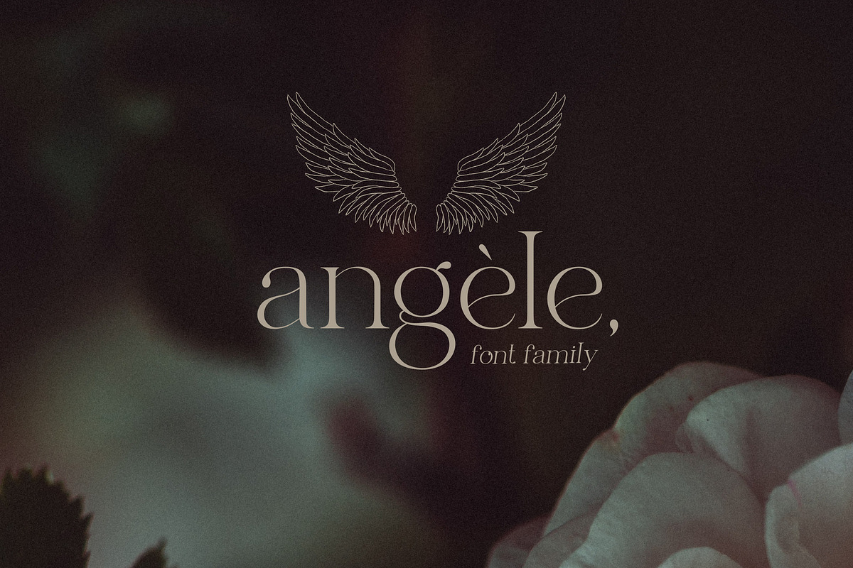 Elegant serif font family Angele, a Serif Font by Angele Kamp (Photo 8 of 9)