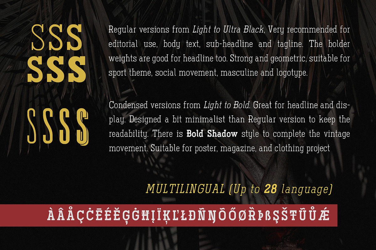 Ferguson Slab Font Family, a Slab Serif Font by Arterfak Project (Photo 8 of 10)