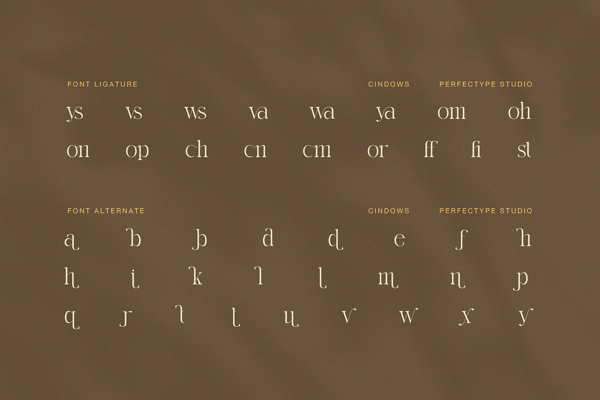 Cindows Elegant Ligature Serif Font, a Serif Font by Perfectype (Photo 8 of 8)