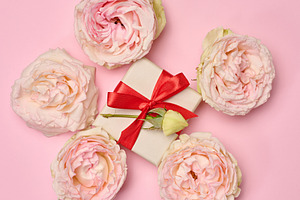 Gift box tied with a red ribbon and blooming pink roses on a pin, a Holiday Photo by ndanko