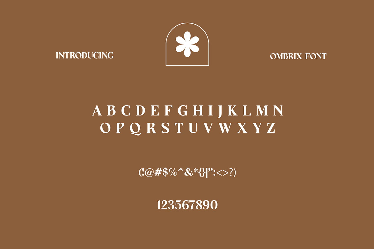 Ombrix | Contemporary Serif Typeface, a Serif Font by Artdez (Photo 3 of 5)