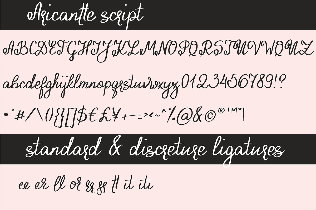 Aricantte - Handwritten Font Duo preview 5