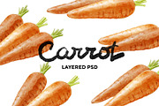 Carrot watercolor illustrations, a Food Illustration by wedraw (Thumbnail 1 of 3)