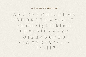 Retrophile - Elegant Light Serif