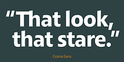 Croma Sans, a Sans Serif Font by Hoftype (Thumbnail 4 of 10)