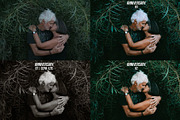 Anniversary Lightroom Presets, a Preset Add-On by skybluecreative (Thumbnail 8 of 8)