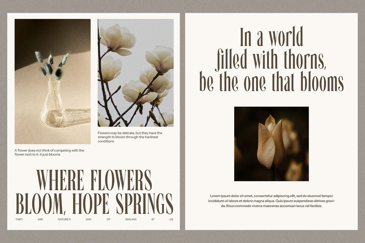 Glafins Modern Ligature Serif Font, a Serif Font by Perfectype (Photo 5 of 8)