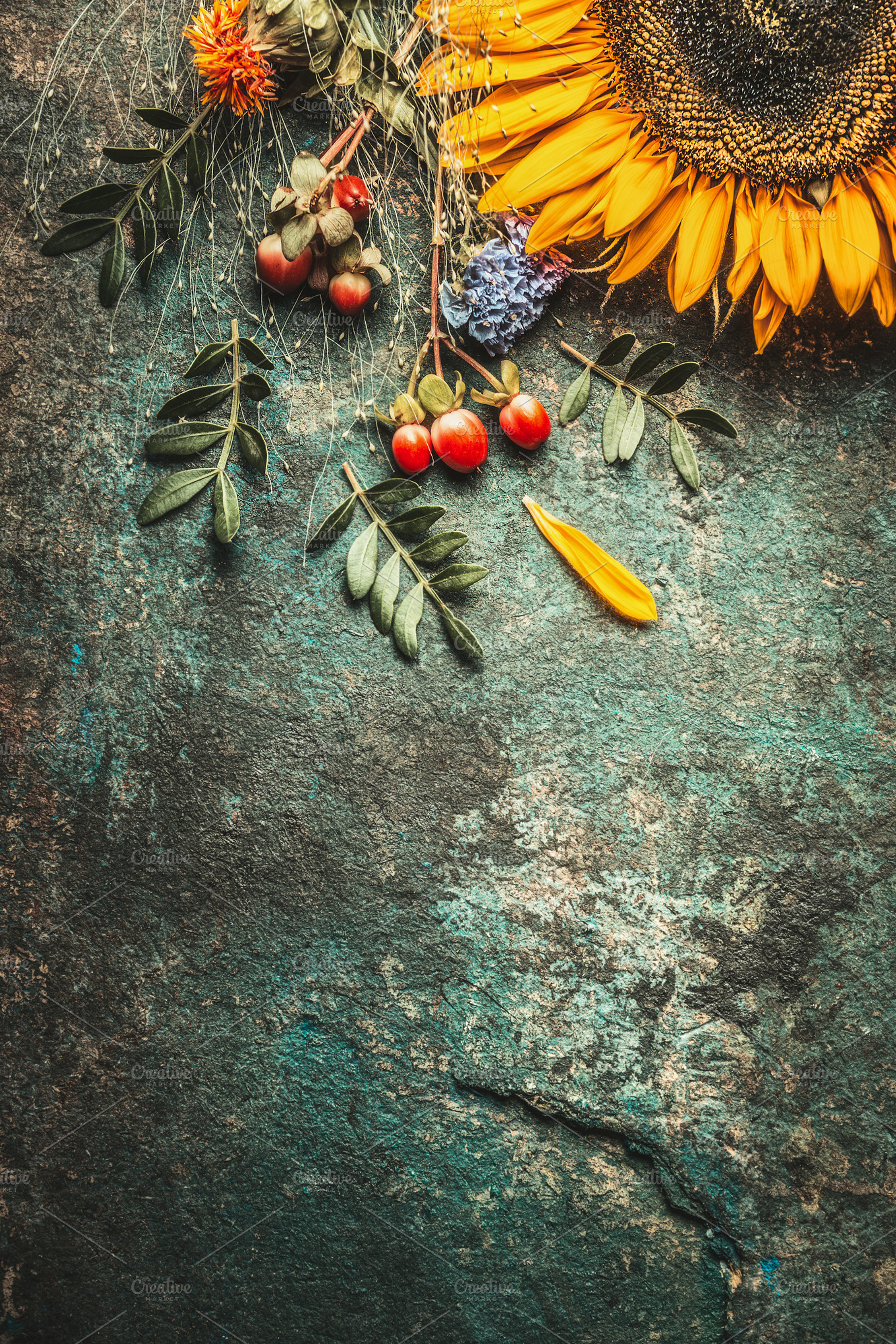 Rustic background with sunflower, a Nature Photo by VICUSCHKA