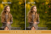 Flutter by Butterfly photo overlays, an Object Graphic by BrownLeopard (Thumbnail 6 of 6)
