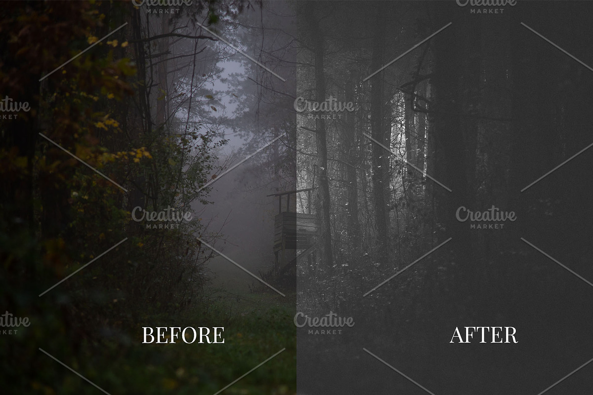 VINTAGE NOIR Lightroom Preset, a Preset Add-On by Mark Borbely (Photo 6 of 9)