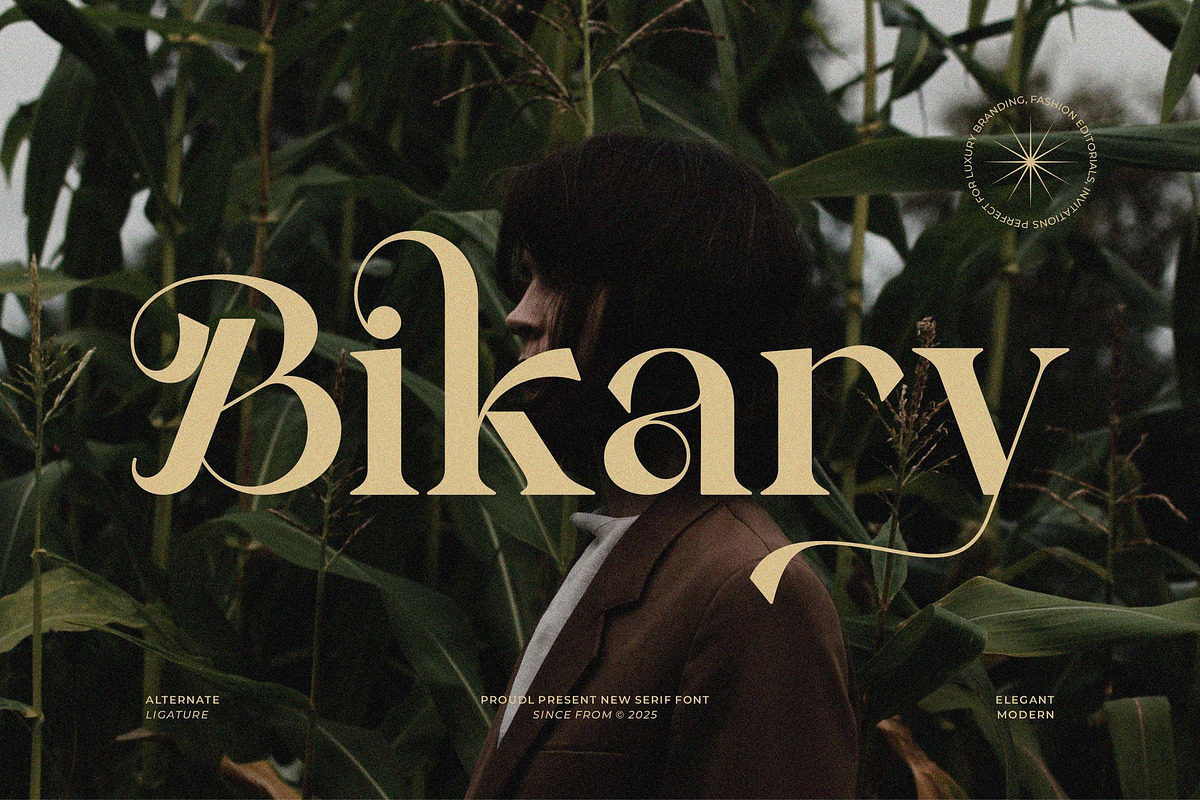 Bikary || Modern Classy Serif Font, a Serif Font by Ermedia Studio (Photo 1 of 10)