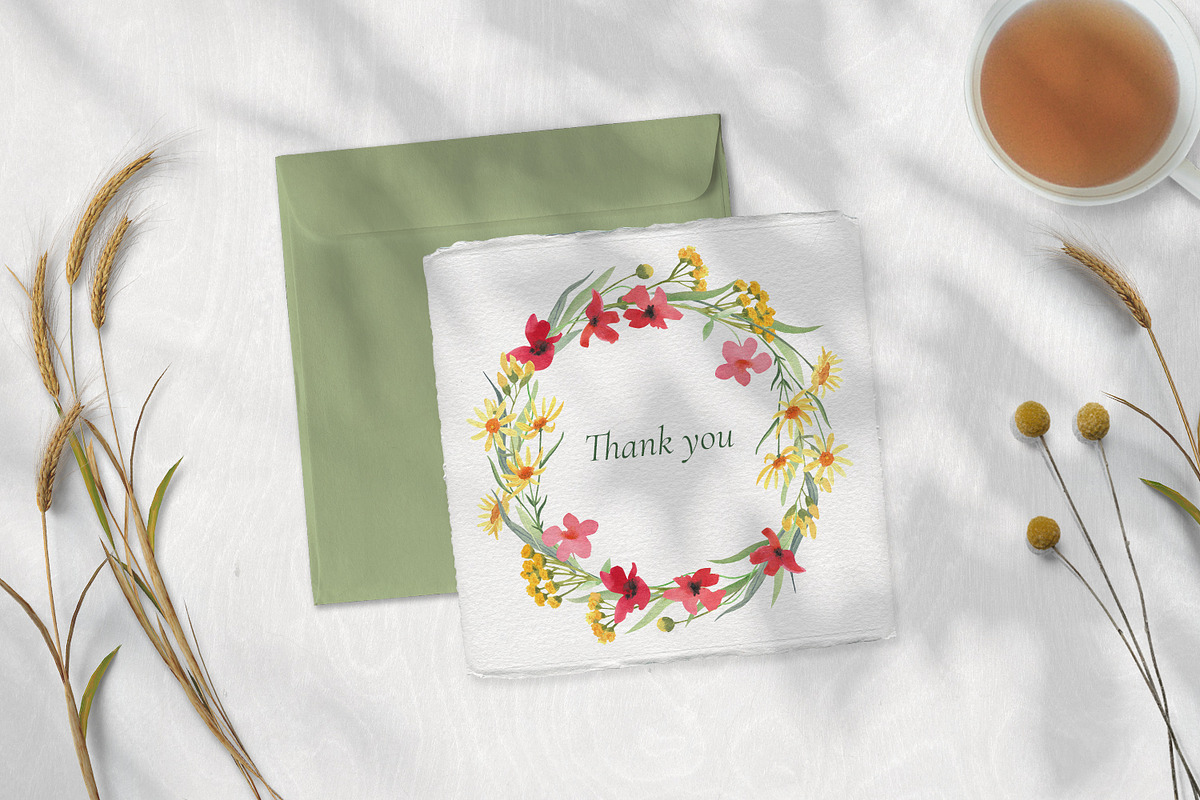 Wildflower Watercolor Collection, a Decorative Illustration by Anna Druzhkova (Photo 23 of 23)