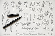 Botanical Illustrations & Logo Kit, an Illustration by BirDIY Design (Thumbnail 2 of 10)