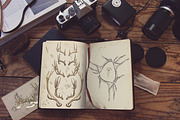 Deer antlers collection., an Animal Illustration by ArtOwl (Thumbnail 5 of 8)