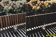 Faded World Presets for Lightroom, a Preset Add-On by Hubzway (Thumbnail 2 of 5)