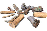 13 Tree Logs, an Environmental 3D Model by Beatheart Creative Studio (Thumbnail 14 of 37)