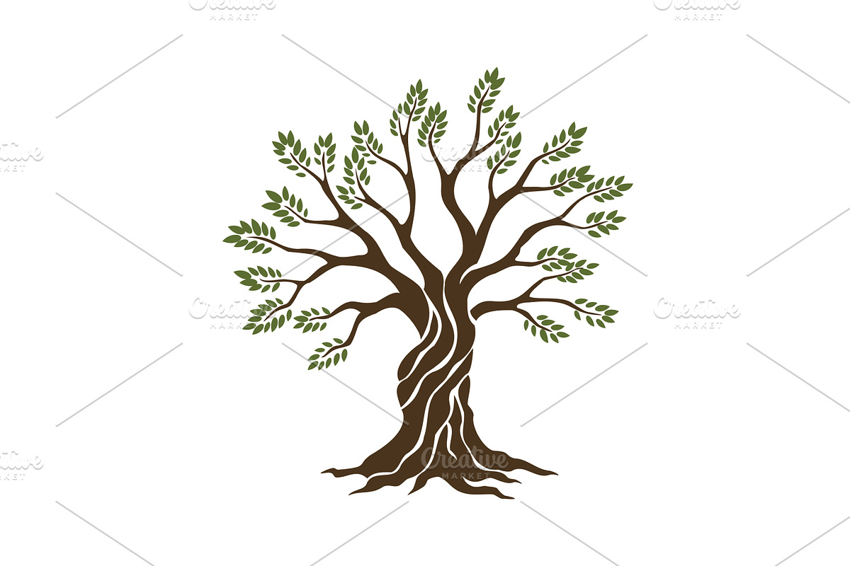 Olive trees with branches and, an Object Illustration by Things for designers