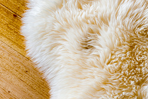Sheepskin, a Background Photo by THP Creative