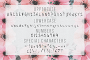 Meringue OTF Font, a Script Font by Hunt Family Design (Thumbnail 2 of 2)