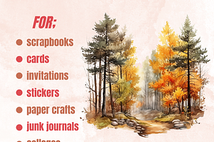 Fall Woodland Forest Clipart